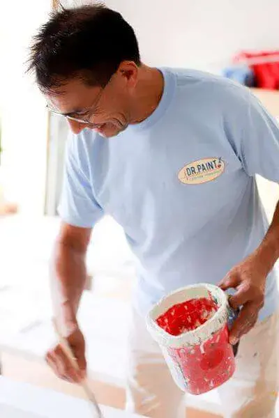 Dr. Paint professional painter at work